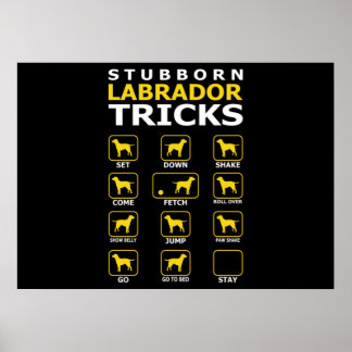 Stubborn Labrador Dog Tricks Funny Poster