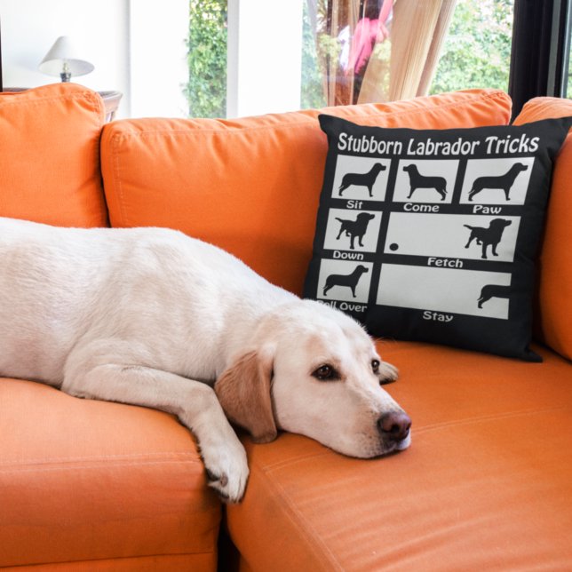 Stubborn Labrador Tricks Throw Pillow (Creator Uploaded)