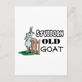 Stubborn Old Goat Postcard