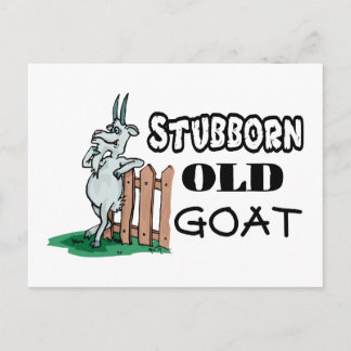Stubborn Old Goat Postcard