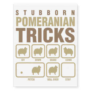 Stubborn Pomeranian Tricks Dog Lover Temporary Tattoos