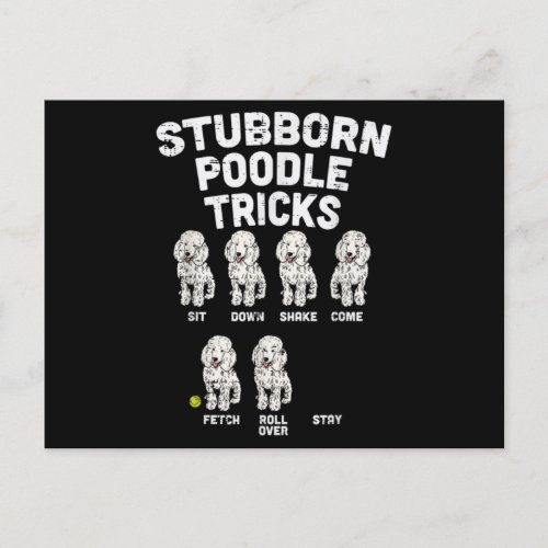 Stubborn Poodle Tricks Funny Dog Lover Owner Postcard