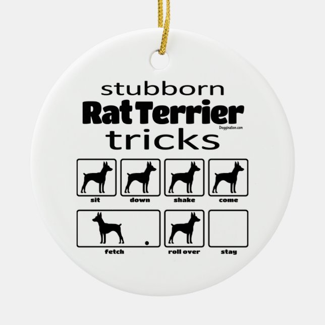 Stubborn Rat Terrier Tricks Ceramic Ornament (Front)