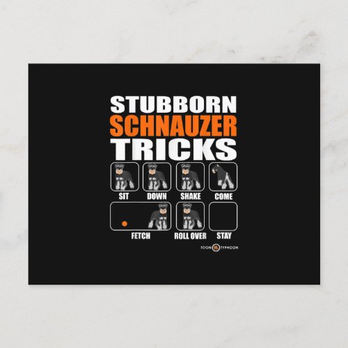 Stubborn Schnauzer Tricks  Funny Schnauzer Gift Announcement Postcard