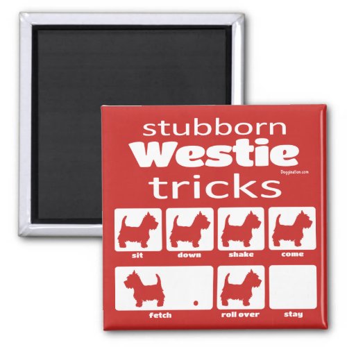 Stubborn Westie Tricks Magnet