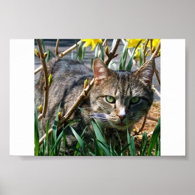 Stubby Poster (Front)