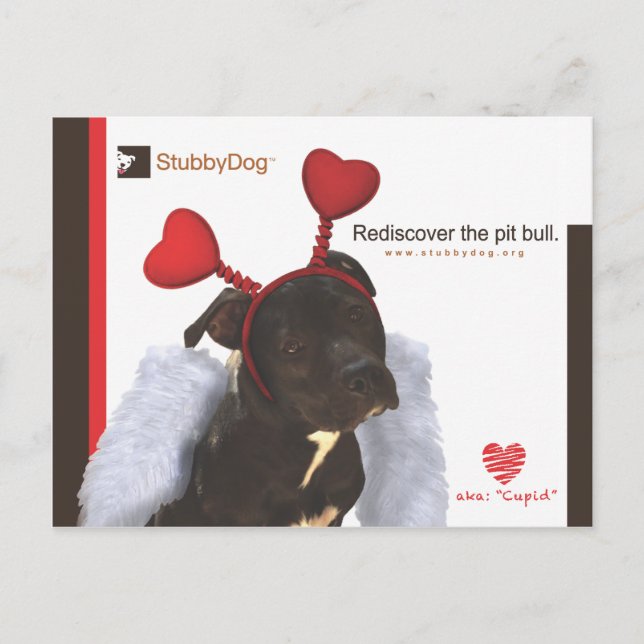 StubbyDog Valentine #2 Holiday Postcard (Front)