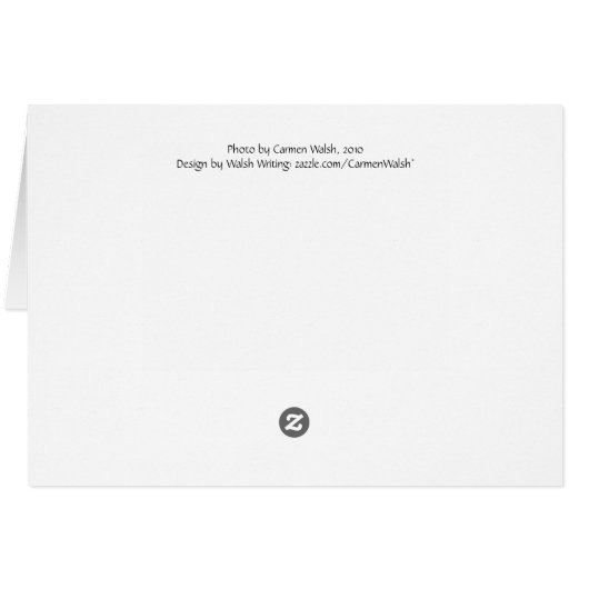 Stucco lizard card (Back Horizontal)