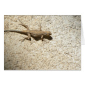 Stucco lizard card (Front Horizontal)