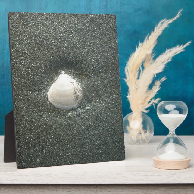 Stuck in a Shell: Thoughtful Home Accent & Gifting Plaque (Side)