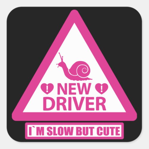 Student Driver Cute Warning Sign car Window new Square Sticker