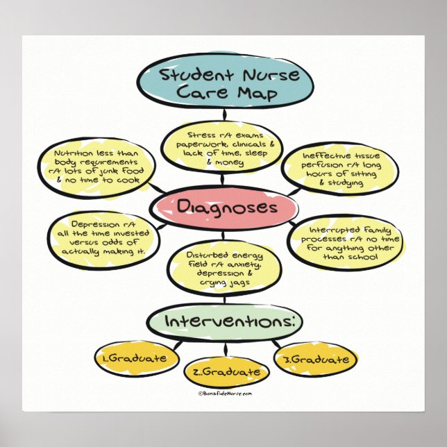 Student Nurse Care Map Poster (Front)