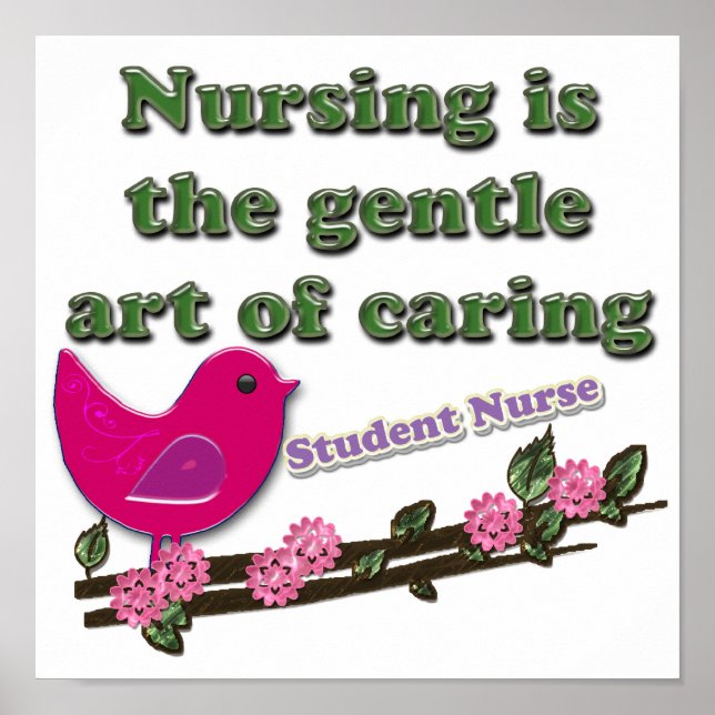 Student Nurse Poster (Front)