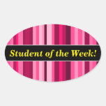 [ Thumbnail: Student Praise + Magenta & Pink Striped Pattern Sticker ]