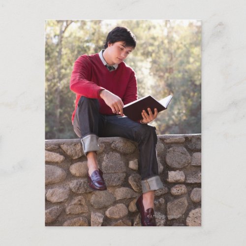 Student Reading Book and Sitting on Stone Wall Postcard