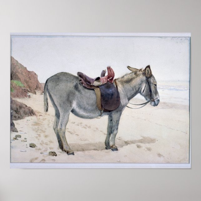 Studies of Animals Poster (Front)