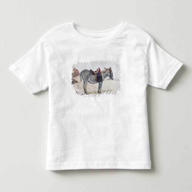 Studies of Animals Toddler T-shirt (Front)
