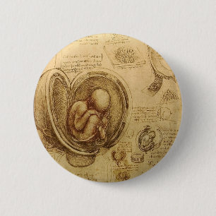 Studies of Embryos Pinback Button