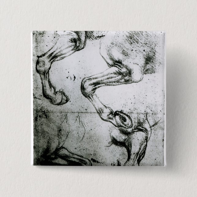 Studies of Horses legs Button (Front)