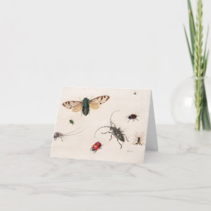 Studies of Insects by Johannes Bronckhorst Letterpress Thank You Card