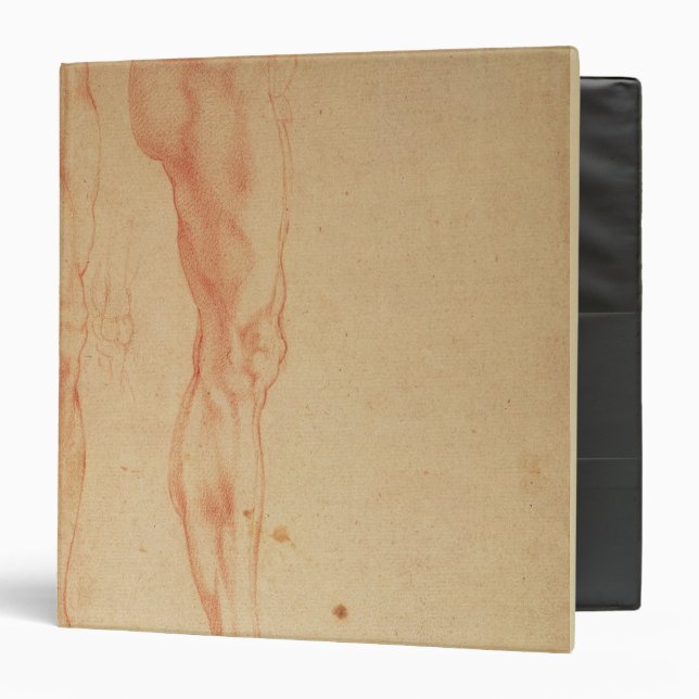 Studies of Legs and Arms 3 Ring Binder (Front/Inside)