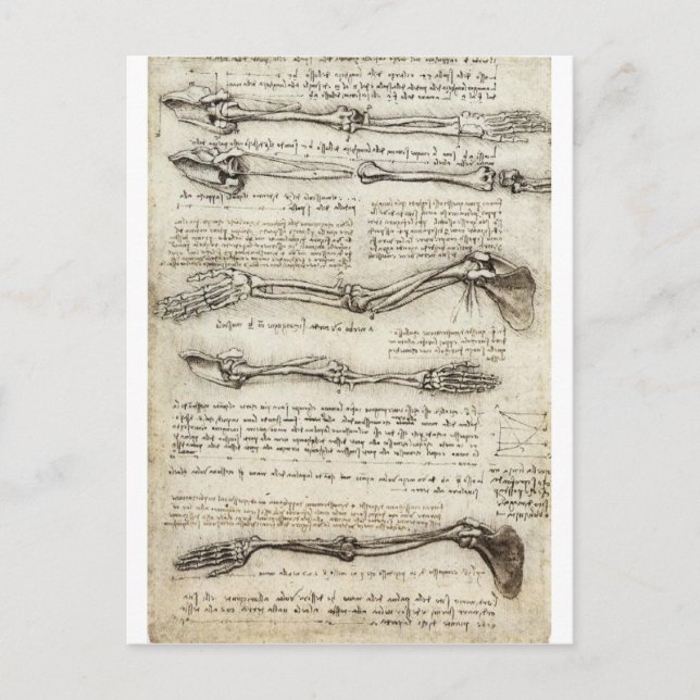 Studies of the arm postcard (Front)