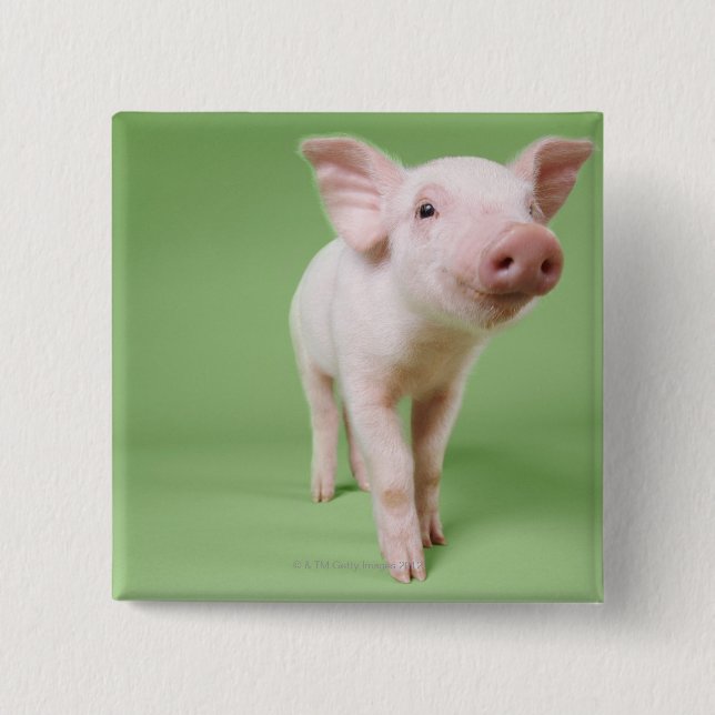 Studio Cut Out of a Piglet Standing Button (Front)