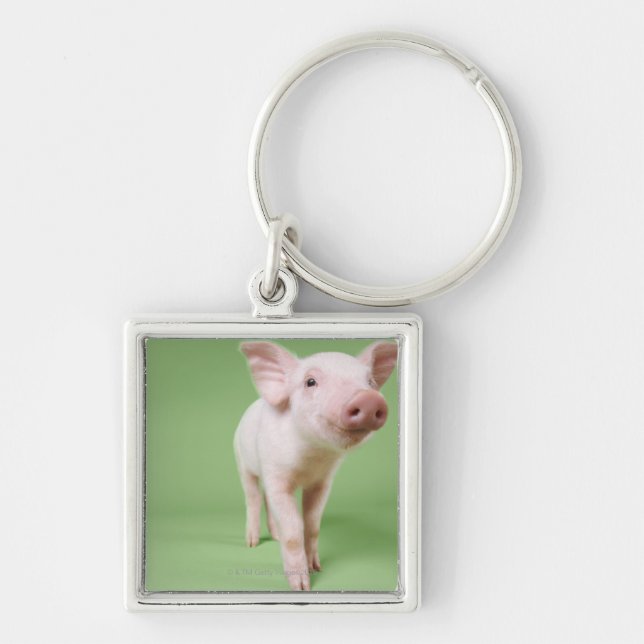 Studio Cut Out of a Piglet Standing Keychain (Front)