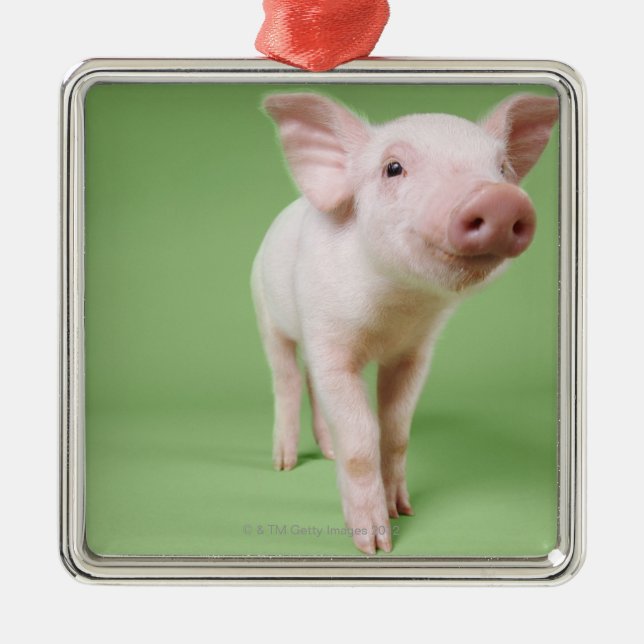 Studio Cut Out of a Piglet Standing Metal Ornament (Front)