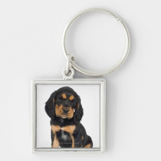Studio portrait of Rottweiler puppy Keychain (Front)