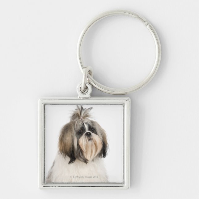 Studio portrait of Shih Tzu Keychain (Front)