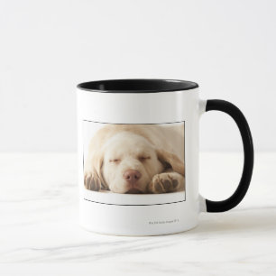 Studio portrait of Yellow Labrador Retriever Mug