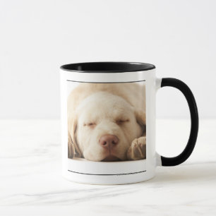 Studio portrait of Yellow Labrador Retriever Mug