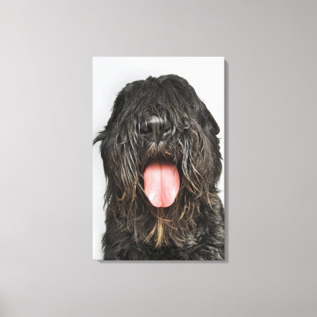 Studio shot canvas print (Front)