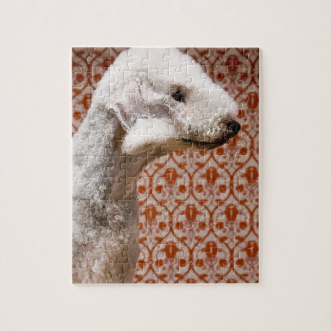 Studio shot of Bedlington Terrier Jigsaw Puzzle (Vertical)