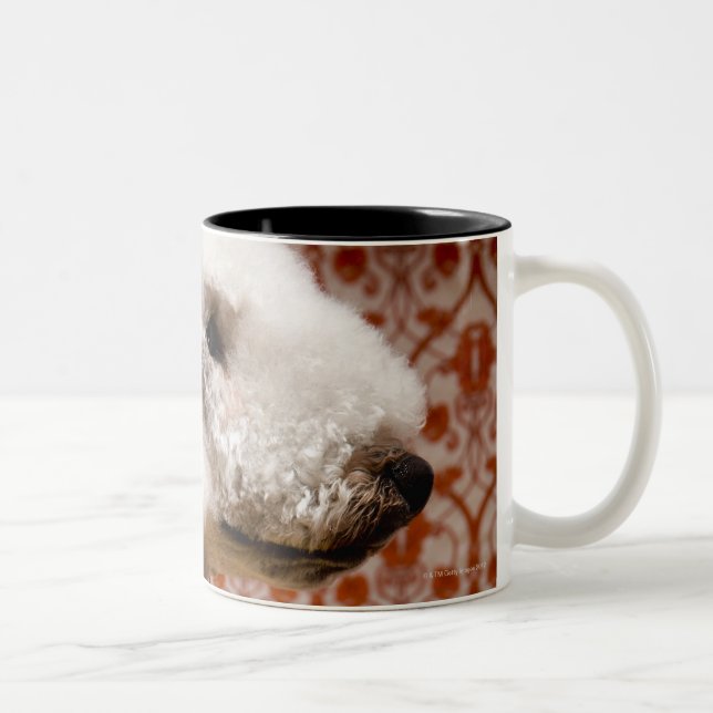 Studio shot of Bedlington Terrier Two-Tone Coffee Mug (Right)