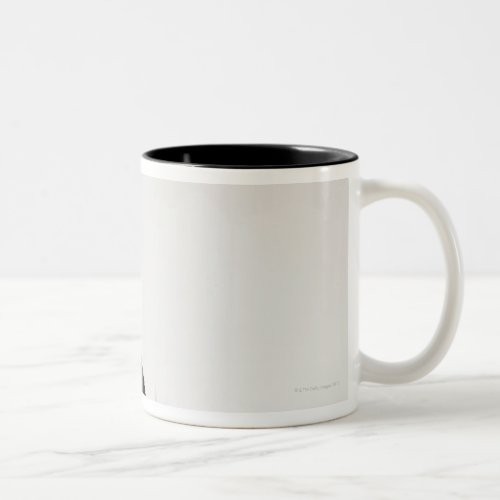 Studio shot of black and white cat in gift box Two_Tone coffee mug