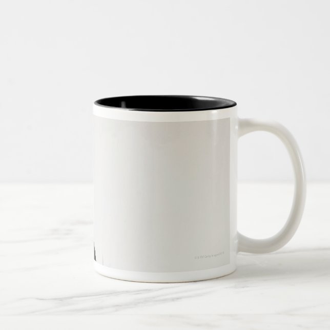 Studio shot of black and white cat in gift box Two-Tone coffee mug (Right)
