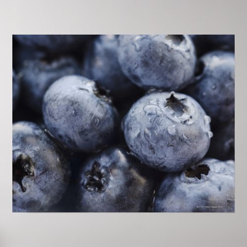 Studio shot of blueberries 3 poster