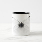 Studio shot of sharp-veined white butterfly Two-Tone coffee mug (Center)
