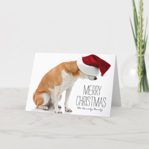 Studio shot of Shiba Inu dog wearing Santa hat Holiday Card