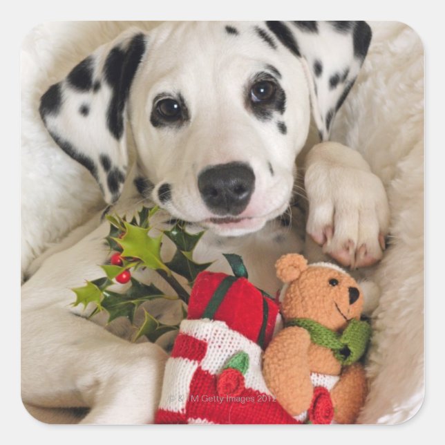 studio square sticker (Front)