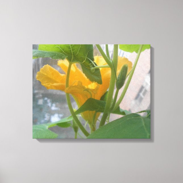 Studio Window Canvas Print (Front)