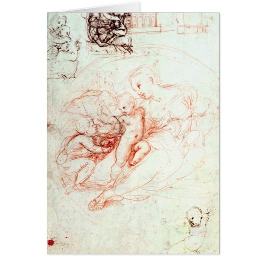 Study for the Alba Madonna, c.1508-09 Cards (Front)
