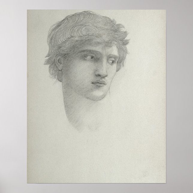 Study for the Head of Perseus (pencil on paper) Poster (Front)