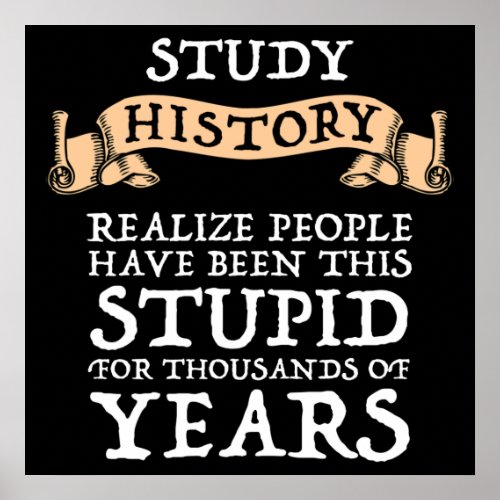 Study History _ Realize People Have Been Stupid Poster