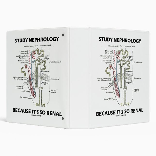 Study Nephrology Because It's So Renal Nephron 3 Ring Binder (Background)