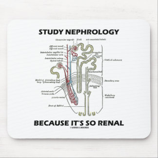Study Nephrology Because It's So Renal Nephron Mouse Pad