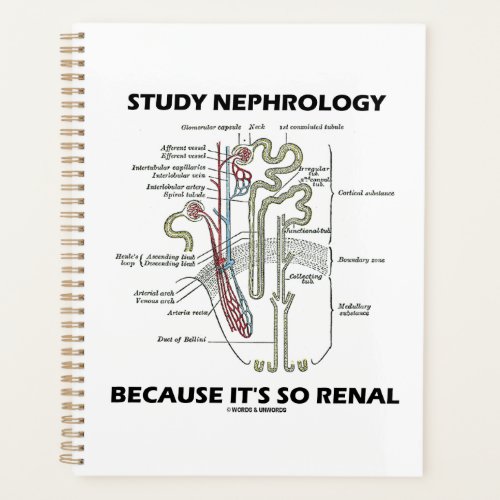 Study Nephrology Because Its So Renal Nephron Planner