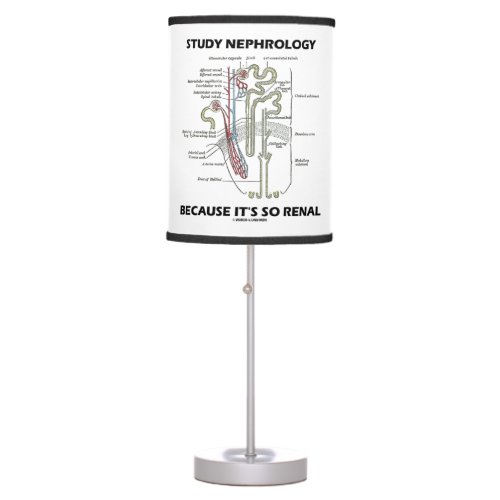Study Nephrology Because Its So Renal Nephron Table Lamp